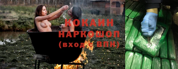 ПСИЛОЦИБИНОВЫЕ ГРИБЫ Покров