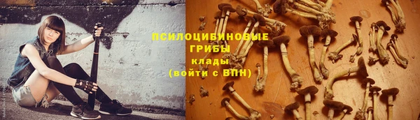 каннабис Покачи