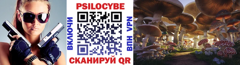 Псилоцибиновые грибы прущие грибы  Новое Девяткино 