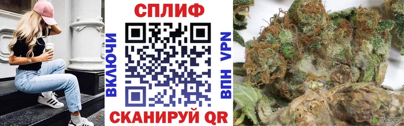 Канабис семена  Новое Девяткино 