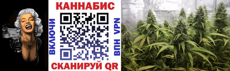 Бошки Шишки конопля Новое Девяткино